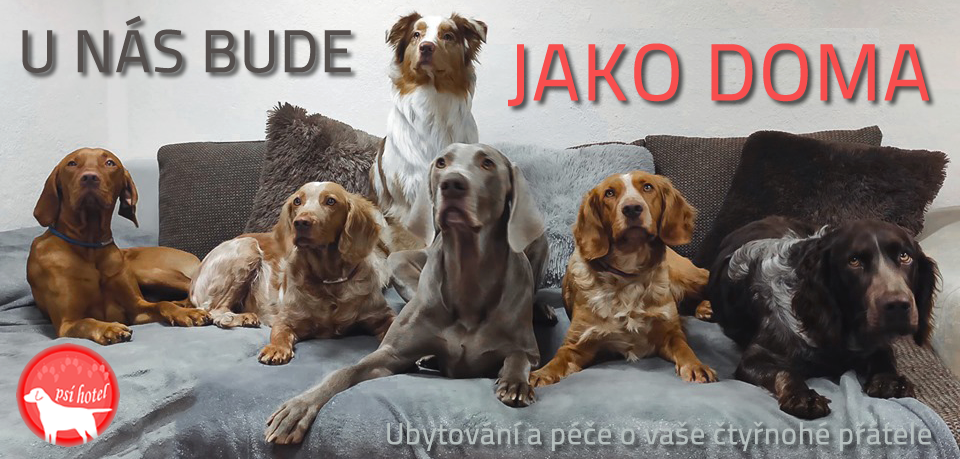 Psí hotel Pejskov | Eva Dudková banner